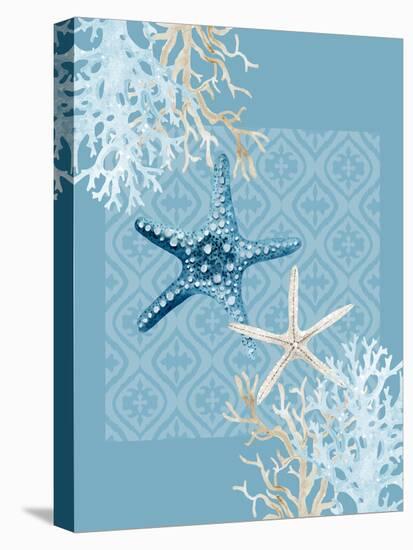 Starfish Tours-Kimberly Allen-Stretched Canvas