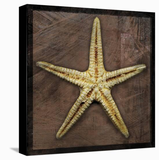 Starfish-John Golden-Stretched Canvas