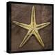 Starfish-John Golden-Stretched Canvas