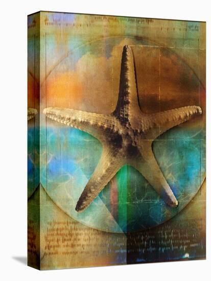 Starfish-Colin Anderson-Premier Image Canvas