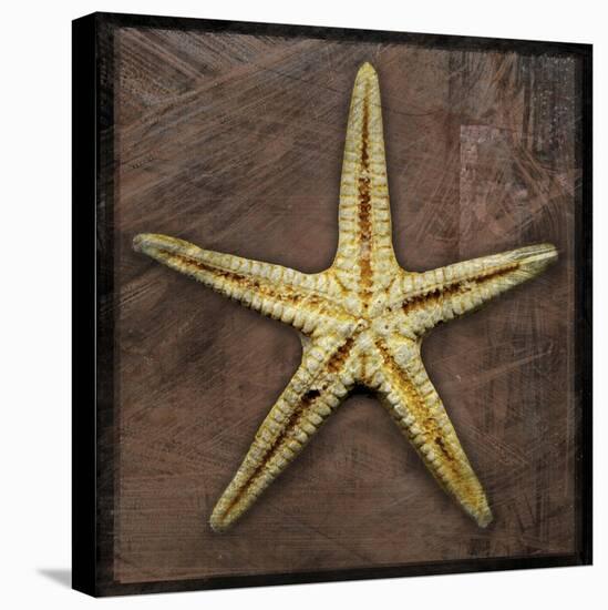 Starfish-John W Golden-Premier Image Canvas