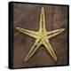 Starfish-John W Golden-Premier Image Canvas