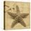 Starfish-John Seba-Stretched Canvas