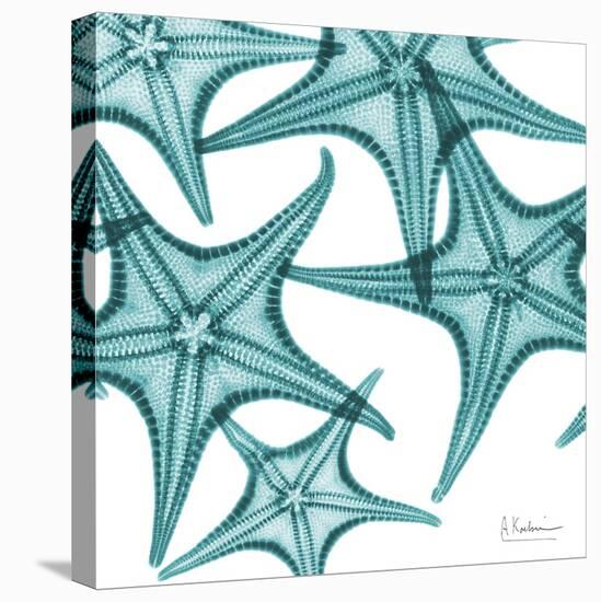Starfishes-Albert Koetsier-Stretched Canvas
