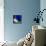 Starlight, 2012-Nancy Moniz-Premier Image Canvas displayed on a wall