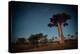 Starry Sky and Baobab Trees Highlighted by Moon. Madagascar-Dudarev Mikhail-Premier Image Canvas