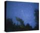 Starry, Starry Night-Orah Moore-Stretched Canvas