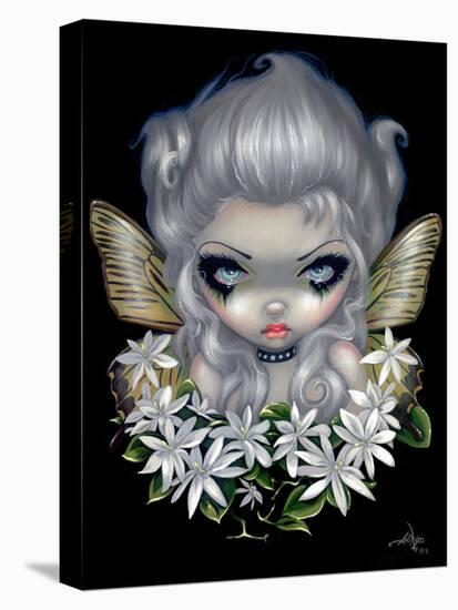 Starry Wild Jasmine Fairy-Jasmine Becket-Griffith-Stretched Canvas