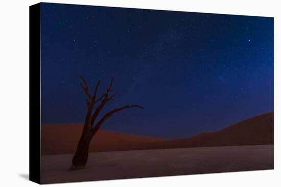 Stars and Dunes-Ali Khataw-Premier Image Canvas