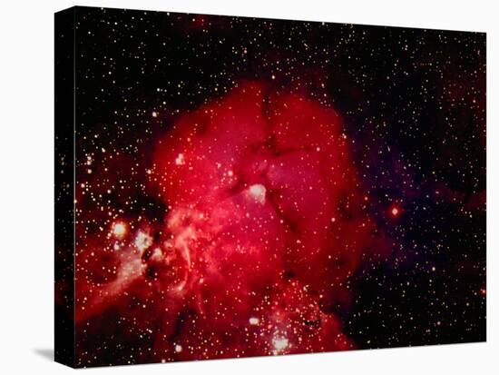 Stars and Nebula-Terry Why-Premier Image Canvas