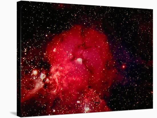 Stars and Nebula-Terry Why-Premier Image Canvas