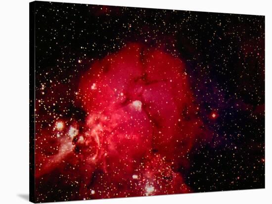 Stars and Nebula-Terry Why-Premier Image Canvas