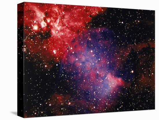 Stars and Nebula-Terry Why-Premier Image Canvas