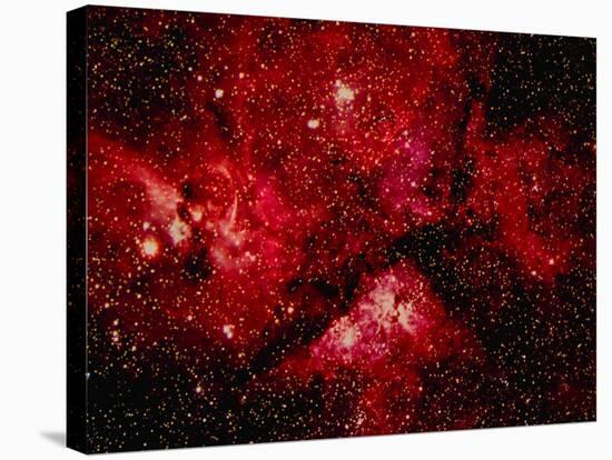 Stars and Nebula-Terry Why-Premier Image Canvas