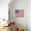 Stars and Stripes-Ben James-Stretched Canvas displayed on a wall