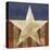 Stars&Stripes-Alan Hopfensperger-Stretched Canvas