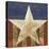 Stars&Stripes-Alan Hopfensperger-Stretched Canvas