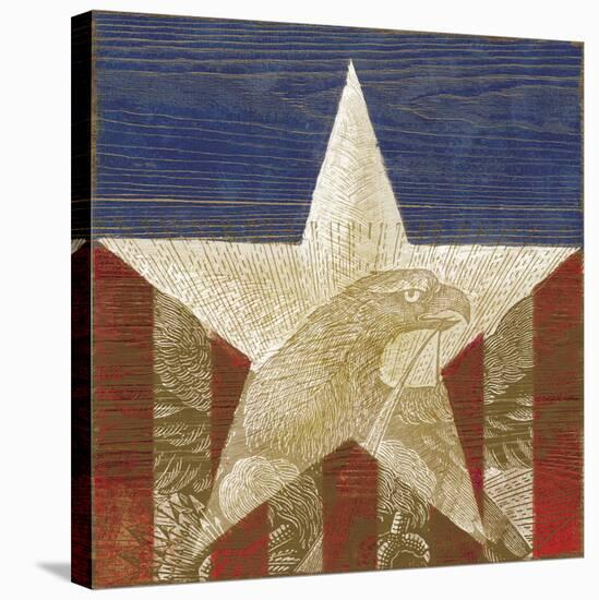 Stars&Stripes-Alan Hopfensperger-Stretched Canvas