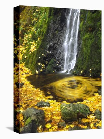 Starvation Creek Falls Creates a Maple Leaf Whirlpool on Water-Steve Terrill-Premier Image Canvas