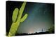 Stary Sky with Saguaro Cactus over Organ Pipe Cactus Nm, Arizona-Richard Wright-Premier Image Canvas