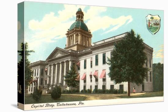 State Capitol, Tallahassee, Florida-null-Stretched Canvas