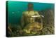 Statue in submerged Nymphaeum of Emperor Claudius, Italy-Franco Banfi-Premier Image Canvas