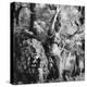 Statue in the Giardini Pubblici, Castello-Simon Marsden-Premier Image Canvas