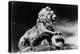 Statue of a Lion, City Gates, Arles, Provence, France-Simon Marsden-Premier Image Canvas