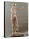 Statue of Aphrodite Type Capua, 2nd Century, White Marble, Full Relief-null-Premier Image Canvas