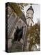 Statue of Bach, Thomaskirche, Leipzig, Saxony, Germany, Europe-Michael Snell-Premier Image Canvas