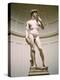 Statue of David, Accademia Gallery, Florence, Italy-Peter Thompson-Premier Image Canvas