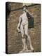 Statue of David by Michelangelo in the Piazza Della Signoria in Florence, Tuscany, Italy-Lightfoot Jeremy-Premier Image Canvas