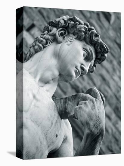 Statue of David, Florence, Tuscany, Italy-Alan Copson-Premier Image Canvas