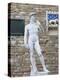 Statue of David, Piazza della Signoria, Florence, UNESCO World Heritage Site, Tuscany, Italy-Vincenzo Lombardo-Premier Image Canvas