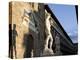 Statue of David with Shadow, Ufizzi in Background, Piazza Della Signoria, Florence, Tuscany, Italy-Martin Child-Premier Image Canvas