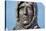 Statue of Roald Amundsen-Dr. Juerg Alean-Premier Image Canvas