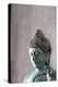 Statue, Statue Head, Bust-Nikky Maier-Premier Image Canvas