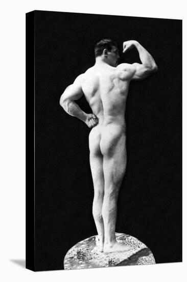 Statuesque Back and Arm Curl-null-Stretched Canvas