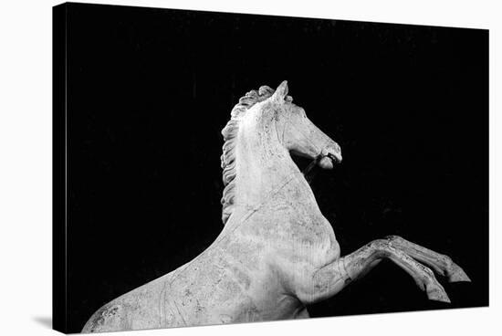 Statuesque Horse-Irene Suchocki-Stretched Canvas