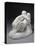 Statuette of the Metamorphosis of Ovid, 19th Century-Auguste Rodin-Premier Image Canvas