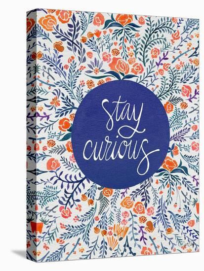 Stay Curious in Navy and Red-Coquillette Cat-Stretched Canvas