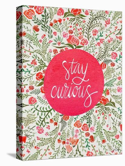 Stay Curious in Pink and Green-Coquillette Cat-Stretched Canvas