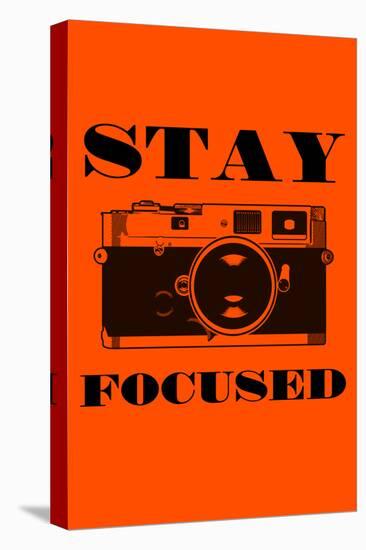 Stay Focused - Camera-Lantern Press-Stretched Canvas