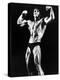 Stay Hungry, Arnold Schwarzenegger, 1976-null-Stretched Canvas