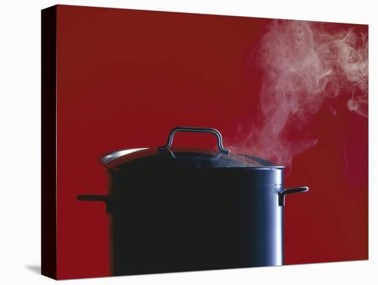 Steam Escaping from a Pan with a Lid-Hartmut Seehuber-Premier Image Canvas