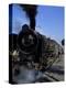 Steam Locomotive of Indian Railways at Chittaurgarh Junction, India-Tony Gervis-Premier Image Canvas