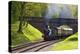 Steam Train on Bluebell Railway, Horsted Keynes, West Sussex, England, United Kingdom, Europe-Neil Farrin-Premier Image Canvas