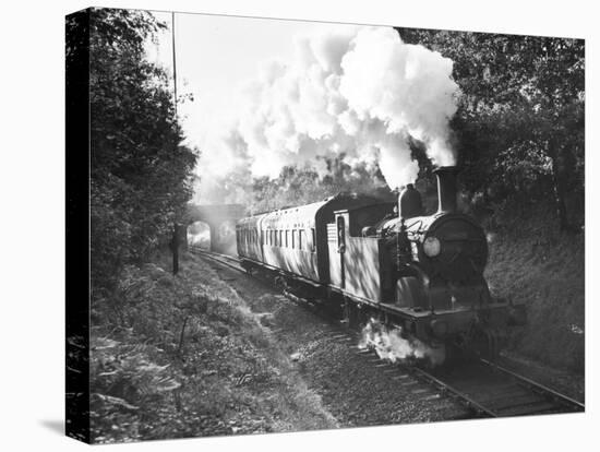 Steam Train on the Southern Region Nr-null-Premier Image Canvas