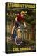 Steamboat Springs, Colorado - Mountain Biker in Trees-Lantern Press-Stretched Canvas