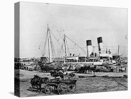 Steamboats Loading Cotton at New Orleans, Louisiana, C.1890 (B/W Photo)-American Photographer-Premier Image Canvas